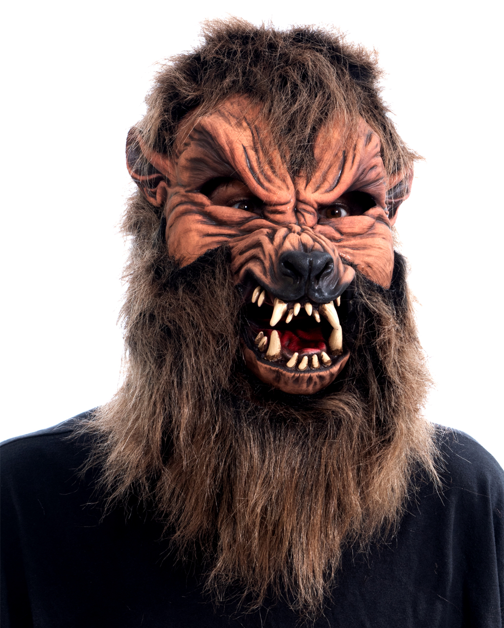 Howl Oween Wolf Maske  Werwolf Maske kaufen von Horror-Shop.com