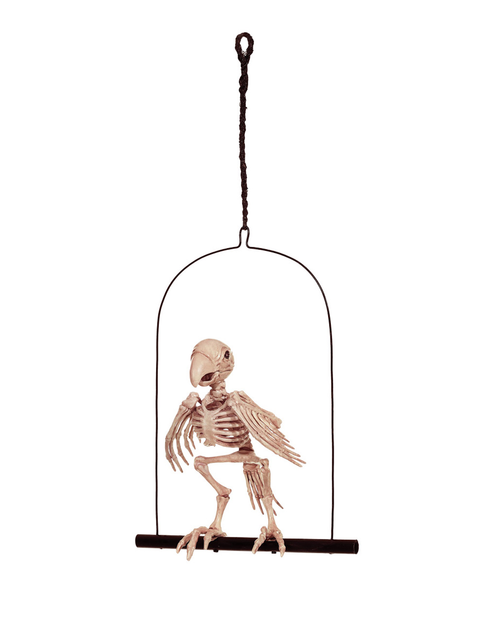 Papagei Skelett auf Schaukel 32 cm online kaufen! von Horror-Shop.com