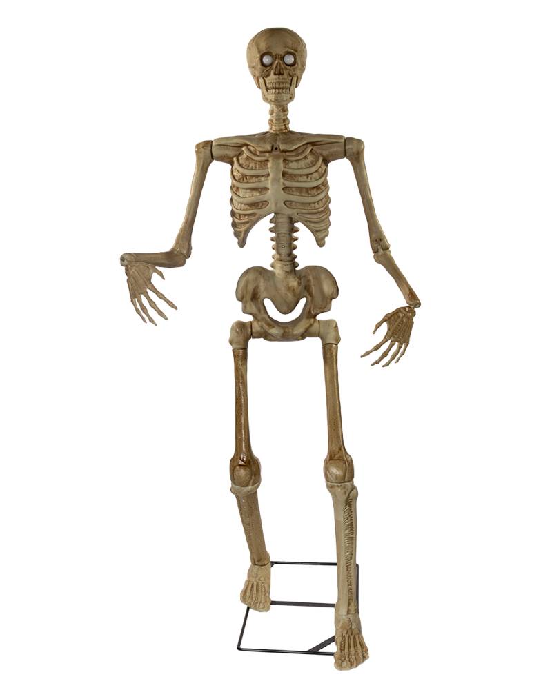 Scary Skelett Halloween Animatronic 150cm ➤ von Horror-Shop.com