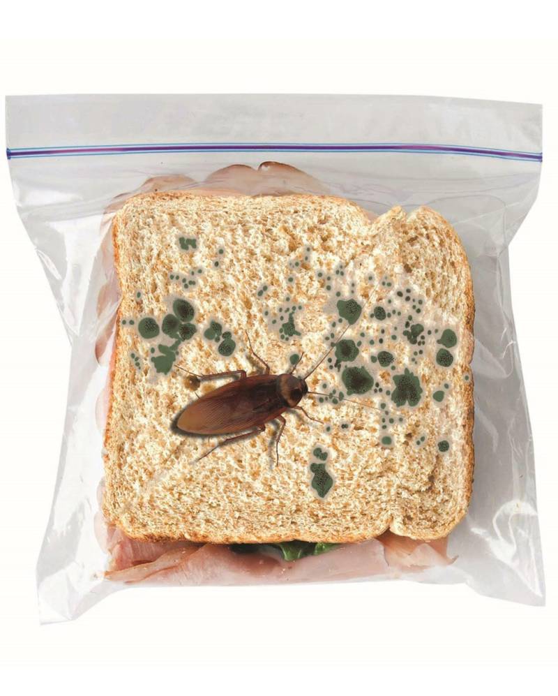Schimmliges Sandwich Snack-Tüte Scherzartikel ➤ von Horror-Shop.com