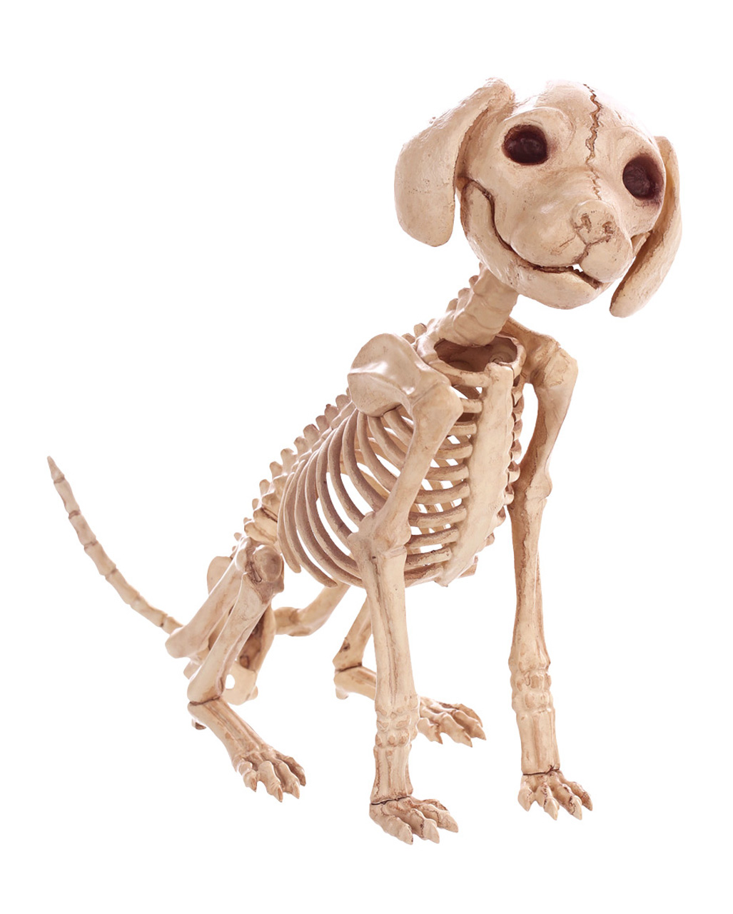 Sitzendes Hunde Skelett 30 cm als Halloween Deko von Horror-Shop.com