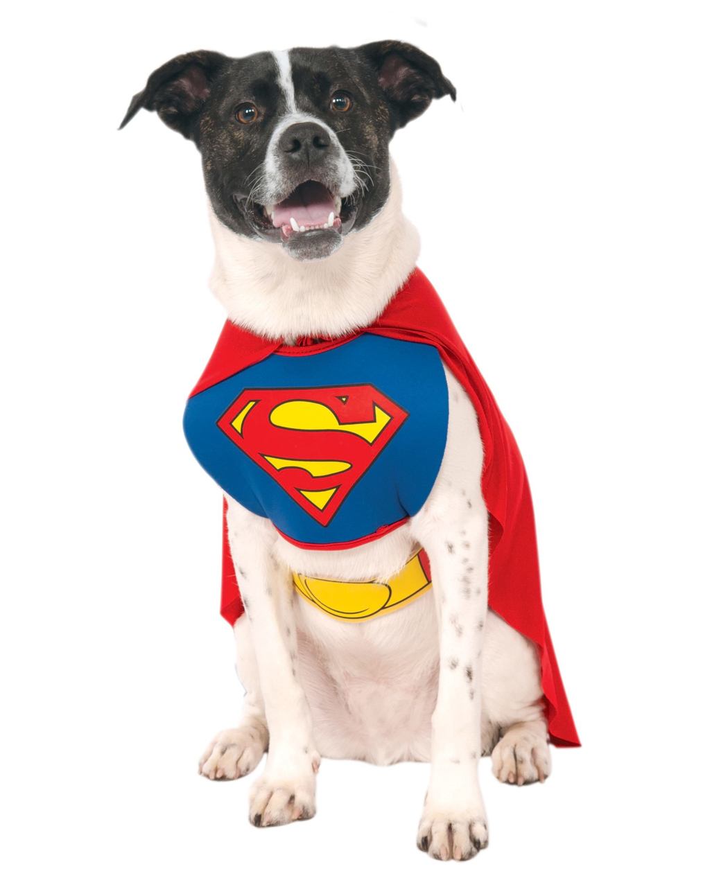 Superman Hundekostüm L für Fasching von Horror-Shop.com