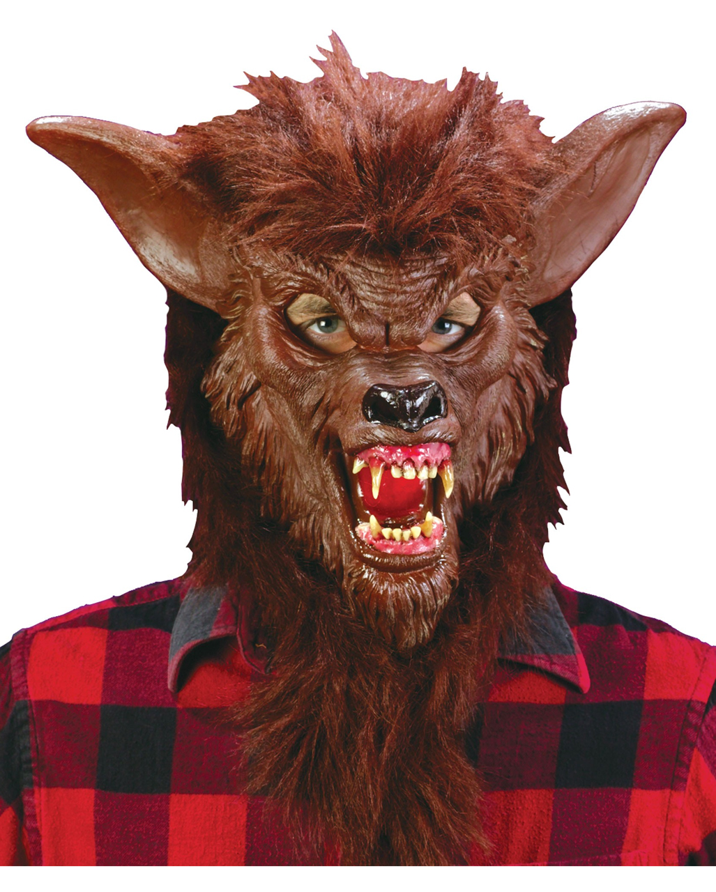 Werwolfmaske Braun mit realistischen Zähnen - Halloween Wolfsmaske von Horror-Shop.com