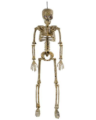 Horror-Shop Verwestes Skelett mit Augen & beweglichen Gliedmaßen 37cm Horror-Shop Verwestes Skelett mit Augen & beweglichen Gliedmaßen 37cm von Horror-Shop