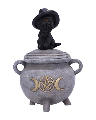 horror-shop Schwarze Katze mit hexenhut & Hexenkessel als Schatulle 14cm horror-shop Schwarze Katze mit hexenhut & Hexenkessel als Schatulle 14cm von Horror-Shop