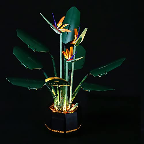 Hosdiy Beleuchtung Set für Lego 10289 Paradiesvogelblume, Led Licht Beleuchtungsset (Nur Beleuchtung, Ohne Modell Set) von Hosdiy