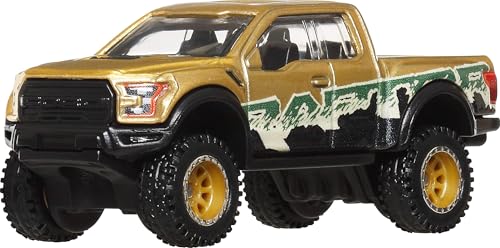 Hot Wheels Premium Car Culture Sammel-Spielzeugauto, Die-Cast '17 Ford F150 Raptor im Maßstab 1:64, Geländefahrzeug mit Real-Riders-Reifen, JBK70 Hot Wheels Premium Car Culture Sammel-Spielzeugauto, Die-Cast '17 Ford F150 Raptor im Maßstab 1:64, Geländefahrzeug mit Real-Riders-Reifen, JBK70 von Hot Wheels