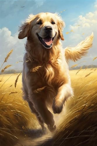 Running Gold Retriever 70-teiliges Puzzle für Erwachsene | Puzzle, Lernspielzeug und Spiele, Bausatz zur Förderung des kreativen Spiels Running Gold Retriever 70-teiliges Puzzle für Erwachsene | Puzzle, Lernspielzeug und Spiele, Bausatz zur Förderung des kreativen Spiels von Hothostl