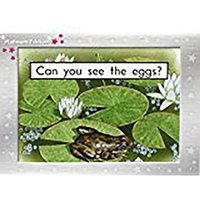 Can You See the Eggs? von Houghton Mifflin Harcourt P