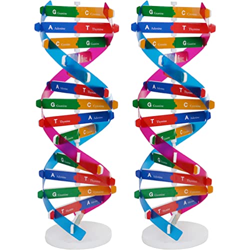 Housoutil 2st DNA-Komponenten-Modell Komponenten des Doppelhelix-modells DNA-modellbausatz DNA-doppelhelix-Modell Anstery-DNA-kit Wissenschaft Lehrmittel Kind Instrument Organisch Abs Housoutil 2st DNA-Komponenten-Modell Komponenten des Doppelhelix-modells DNA-modellbausatz DNA-doppelhelix-Modell Anstery-DNA-kit Wissenschaft Lehrmittel Kind Instrument Organisch Abs von Housoutil