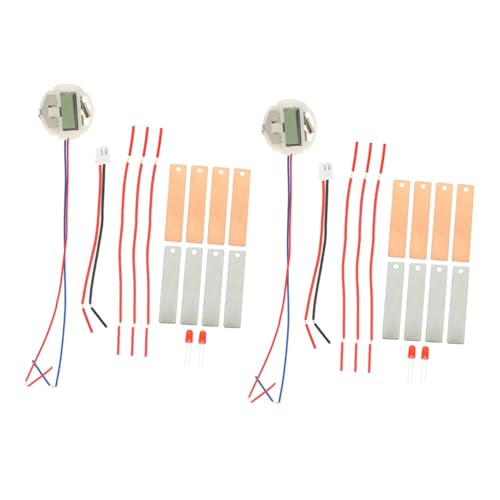 Housoutil 6 Sätze DIY Fruchtbatterie Experimentierkasten Metall Elektro Bausatz Wissenschaftliches für Schüler Kreativität und Praktischen Fähigkeiten von Housoutil