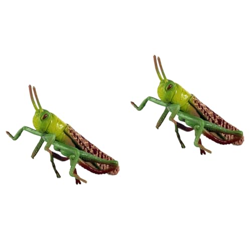 Housoutil Heuschreckenspielzeug Aus Kunststoff 2 Stück Heuschrecken-Insektenfiguren Insekten-Frühpädagogisches Spielzeug Für Themenpartys Kinder Jungen Mädchen von Housoutil