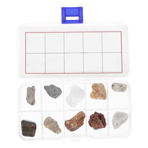 Housoutil Steine Mit Mineralproben Fossilien Und Kristallen Für Junge Mädchen Inklusive Identifikationshandbuch Und Aufbewahrungsbox Für Naturkunde-unterricht Zu Hause Klassenzimmer von Housoutil