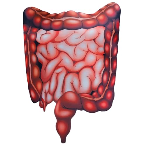 Halloween-Kostüme für Erwachsene, Unisex, 3D-gedruckte menschliche Organe, Halloween-Kostüme für Party, Cosplay, medizinisches Thema, Outfits, Cosplay-Kostüm Halloween-Kostüme für Erwachsene, Unisex, 3D-gedruckte menschliche Organe, Halloween-Kostüme für Party, Cosplay, medizinisches Thema, Outfits, Cosplay-Kostüm von HoveeLuty