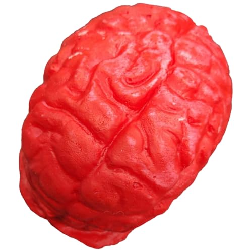 HoveeLuty Halloween-Körperteile, realistisches Herz, Gehirn, gefälschte Körperteile, gruselige Halloween-Requisiten für Streichpartys, Spukhaus-Dekoration, Gehirn, Requisiten, gefälschte Körperteil HoveeLuty Halloween-Körperteile, realistisches Herz, Gehirn, gefälschte Körperteile, gruselige Halloween-Requisiten für Streichpartys, Spukhaus-Dekoration, Gehirn, Requisiten, gefälschte Körperteil von HoveeLuty