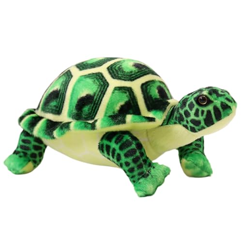 Schildkröten-Plüschtier, 12 Zoll, realistisches süßes Schildkrötenplüsch, ultraweiches, hautfreundliches, lebensechtes Meeresschildkrötenspielzeug, gute Geschenke für den Kindergeburtstag, ausges Schildkröten-Plüschtier, 12 Zoll, realistisches süßes Schildkrötenplüsch, ultraweiches, hautfreundliches, lebensechtes Meeresschildkrötenspielzeug, gute Geschenke für den Kindergeburtstag, ausges von HoveeLuty