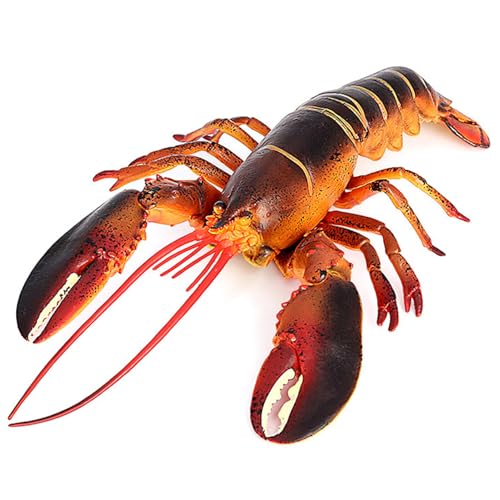 Hperu Plastik Crawfish Hummerspielzeug 13x4, 5 Zoll künstlicher lebensechter Statue Lernspielzeuggeschenke für Kinder Hperu Plastik Crawfish Hummerspielzeug 13x4, 5 Zoll künstlicher lebensechter Statue Lernspielzeuggeschenke für Kinder von Hperu