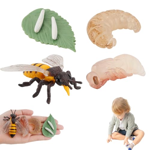 Kleine Harztiere, Lebenszyklus Bildungsspielzeug, Plastiksimulationsfiguren für Jungen, Mädchen Kleine Harztiere, Lebenszyklus Bildungsspielzeug, Plastiksimulationsfiguren für Jungen, Mädchen von Hperu