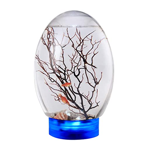 Huaqgu 360-Desktop Aquarium Set Neuartiges Design Mit LED Basis Für Kinder/Angelliebhaber Kein Wasser/Futterwechsel Erforderlich. Ecosphere Geschlossenes Wasserökosystem von Huaqgu