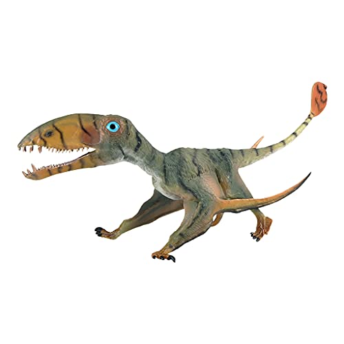 Simulation Dinosaurier Modell Statischer Fleischfressender Dinosaurier Für Dinosaurier Party Kinder Geschenk Dinosaurier Geeignet Für Kinder Baby Dinosaurier Spielzeug Für Kinder 3–5 Dinosaurier von Huaqgu