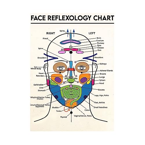 1 Stück Gesichtsreflexzonenmassage-Diagramm Detailliertes Diagramm der Gesichtsanatomie Kunstdruck Leinwand Poster Medizinische Klinik Bildung Wanddekoration(21X30CM No Frame) von Huhpa