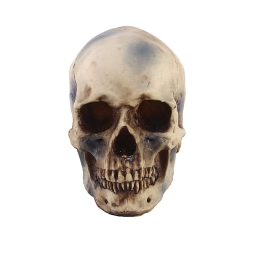 1 Stück Statuen Skulpturen Harz Halloween Home Decor Dekoratives Handwerk Totenkopf Größe 1:1 Model Life Replica 1 Stück Statuen Skulpturen Harz Halloween Home Decor Dekoratives Handwerk Totenkopf Größe 1:1 Model Life Replica von Huhpa