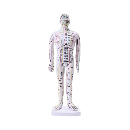 1pc 35CM Weibliche Schriftzug Punkt Körper Mannequin Von Akupunktur Medizinische Forschung Massage Reflex Zone Lehre Modell(A) von Huhpa