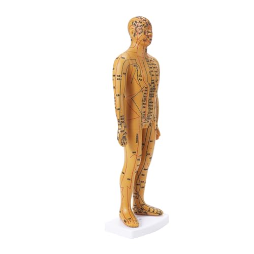 1pc 35CM Weibliche Schriftzug Punkt Körper Mannequin Von Akupunktur Medizinische Forschung Massage Reflex Zone Lehre Modell(B) von Huhpa