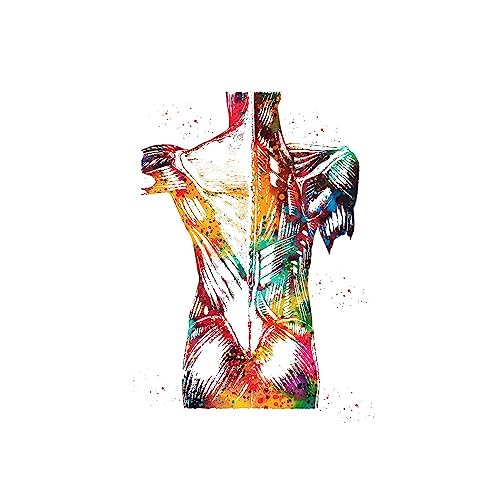 1pc Home Menschliche Anatomie Muskeln System Wand Kunst Leinwand Malerei Poster Und Drucke Körper Karte Wand Bilder Medizinische Bildung Decor(A,A4 21x30cm No Frame) von Huhpa