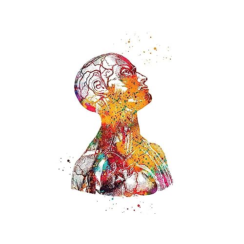 1pc Home Menschliche Anatomie Muskeln System Wand Kunst Leinwand Malerei Poster Und Drucke Körper Karte Wand Bilder Medizinische Bildung Decor(C,15x20cm No Frame) von Huhpa
