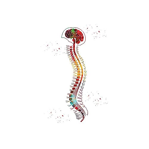 1pc Home Menschliche Anatomie Muskeln System Wand Kunst Leinwand Malerei Poster Und Drucke Körper Karte Wand Bilder Medizinische Bildung Decor(G,A3 30x42cm No Frame) von Huhpa