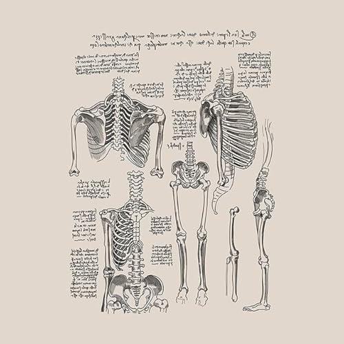 1pc Vintage Menschlichen Körper Anatomie Kunstwerk Medizinische Klinik Wand Bild Skelett Orgel Muskel Leinwand Malerei Poster Drucke Zimmer Dekor(1,30X40cm Unframed) von Huhpa