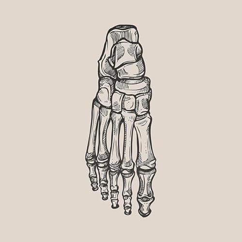 1pc Vintage Menschlichen Körper Anatomie Kunstwerk Medizinische Klinik Wand Bild Skelett Orgel Muskel Leinwand Malerei Poster Drucke Zimmer Dekor(9,30X40cm Unframed) von Huhpa