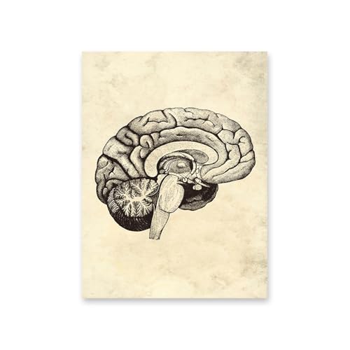 1pc Vintage Menschlichen Körper Anatomie Kunstwerk Medizinische Wand Bilder Skelett Orgel Muskel Leinwand Malerei Poster Drucke Klinik Zimmer Dekor(10,A4 21x30cm No Frame) von Huhpa