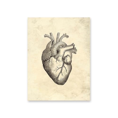 1pc Vintage Menschlichen Körper Anatomie Kunstwerk Medizinische Wand Bilder Skelett Orgel Muskel Leinwand Malerei Poster Drucke Klinik Zimmer Dekor(14,20x25cm No Frame) von Huhpa