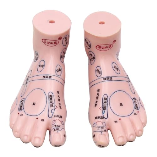 Huhpa 2 stücke Reflex Zone Fuß Akupunktur Punkt Modell Akupunktur Und Chinesische Medizinische Spezifische Modell Skulptur Lehrmittel Huhpa 2 stücke Reflex Zone Fuß Akupunktur Punkt Modell Akupunktur Und Chinesische Medizinische Spezifische Modell Skulptur Lehrmittel von Huhpa