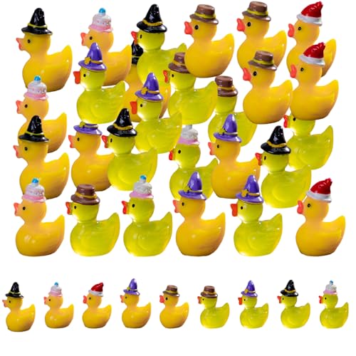 Mini-Enten aus Kunstharz mit Zaubererhut, 27 Stück, inklusive Glitzer-Harz-Enten und einfarbigen Kunststoffenten, kleine Ente für Aquarium, Garten, Landschaften, Puppenhäuser von Huipalon