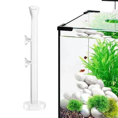 Humdcdy Garnelen-Futternapf, Kristallklares Glas-Aquarium-Fisch-Garnelen-Futterhaus, Aquarium-Garnelen-Futterrohr, Garnelen-Futternapf, Schüssel, Aquarium-Fütterungszubehör Humdcdy Garnelen-Futternapf, Kristallklares Glas-Aquarium-Fisch-Garnelen-Futterhaus, Aquarium-Garnelen-Futterrohr, Garnelen-Futternapf, Schüssel, Aquarium-Fütterungszubehör von Humdcdy