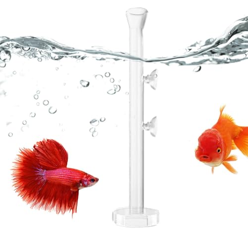 Humdcdy Garnelenfutterautomat | Klares Kristallglas-Garnelen-Futterröhrchen- und Schüssel-Set - Aquarium-Garnelen-Futterrohr, Garnelen-Futternapf, Schüssel, Aquarium-Fütterungszubehör von Humdcdy