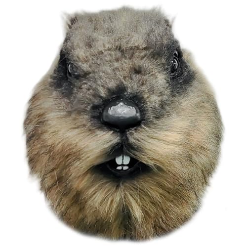 Huraoerrrr Groundhog Maske 11 Zoll Vollkopf Groundhog Pelry Maske, Halloween Cosplay Kostüm -Requisite für Partyball von Huraoerrrr