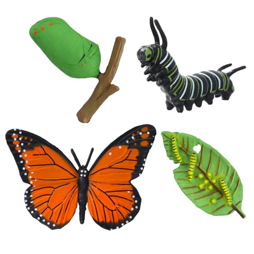 Husalsea Lebensechtes Insektenwachstumsmodell-Spielzeug - Realistisches Schmetterlings- und Hirschkäfer-Lebenszyklus-Lernspielset für Kinder, Alter 4-6 Husalsea Lebensechtes Insektenwachstumsmodell-Spielzeug - Realistisches Schmetterlings- und Hirschkäfer-Lebenszyklus-Lernspielset für Kinder, Alter 4-6 von Husalsea