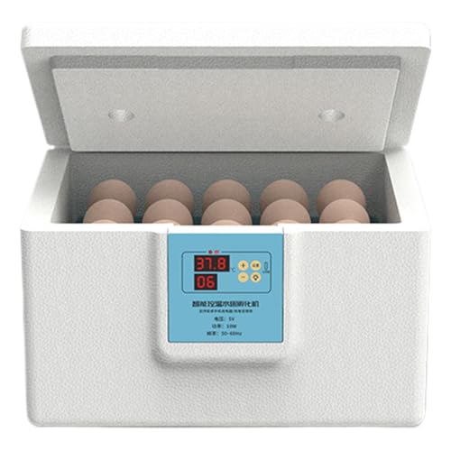 Huvqianu Inkubator für Hühnereier, Hühner-Inkubationswerkzeug – halbautomatische thermostatische Inkubationsmaschine für Wissenschaft, Klassenzimmer, Bauernhof, Labor, Tauben, Enteneier Huvqianu Inkubator für Hühnereier, Hühner-Inkubationswerkzeug – halbautomatische thermostatische Inkubationsmaschine für Wissenschaft, Klassenzimmer, Bauernhof, Labor, Tauben, Enteneier von Huvqianu