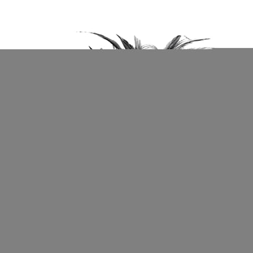 Huxibai Federkopfschmuck,Fascinator Kopfbedeckung | Haarschmuck Hut Netzhaarreif Für Kostümparty Hochzeiten Mädchen Frauen Gartenparty Gesellschaftsanlässe von Huxibai