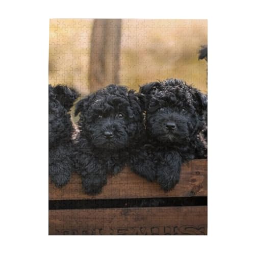 Puzzle 500 Teile für Erwachsene Familien Puzzlespiel für die ganze Familie Anspruchsvolle Puzzles,Affenpinscher Familie Welpen Schwarze Hunde AFFE Puzzle 500 Teile für Erwachsene Familien Puzzlespiel für die ganze Familie Anspruchsvolle Puzzles,Affenpinscher Familie Welpen Schwarze Hunde AFFE von Hyaszst