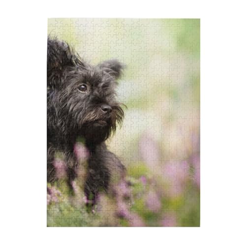 Puzzle 500 Teile für Erwachsene Familien Puzzlespiel für die ganze Familie Anspruchsvolle Puzzles,Affenpinscher Rasen Schwarze Hunde Monkey Terrier von Hyaszst