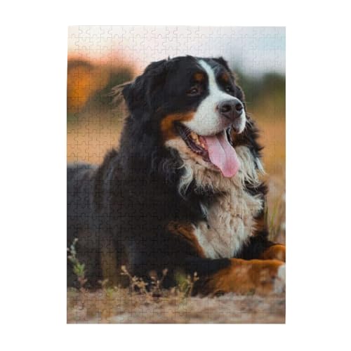 Puzzle 500 Teile für Erwachsene Familien Puzzlespiel für die ganze Familie Anspruchsvolle Puzzles,Berner Sennenhund Puzzle 500 Teile für Erwachsene Familien Puzzlespiel für die ganze Familie Anspruchsvolle Puzzles,Berner Sennenhund von Hyaszst