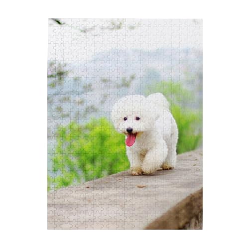 Puzzle 500 Teile für Erwachsene Familien Puzzlespiel für die ganze Familie Anspruchsvolle Puzzles,Bichon Frise Park Haustiere Hunde Bichon Frise Hunde von Hyaszst