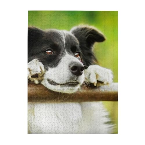 Puzzle 500 Teile für Erwachsene Familien Puzzlespiel für die ganze Familie Anspruchsvolle Puzzles,Border Collie Hund Grün Puzzle 500 Teile für Erwachsene Familien Puzzlespiel für die ganze Familie Anspruchsvolle Puzzles,Border Collie Hund Grün von Hyaszst