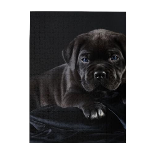 Puzzle 500 Teile für Erwachsene Familien Puzzlespiel für die ganze Familie Anspruchsvolle Puzzles,Cane Corso Haustiere Welpe Schwarzer Cane Corso von Hyaszst