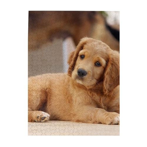 Puzzle 500 Teile für Erwachsene Familien Puzzlespiel für die ganze Familie Anspruchsvolle Puzzles,Cocker Spaniel Welpe Kleiner Spaniel Hunde Haustiere Puzzle 500 Teile für Erwachsene Familien Puzzlespiel für die ganze Familie Anspruchsvolle Puzzles,Cocker Spaniel Welpe Kleiner Spaniel Hunde Haustiere von Hyaszst